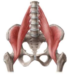 Burnaby Physio Trigger Points