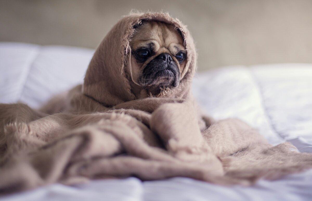 Why Do I Wake Up Sore and Stiff Every Morning Burnaby BC